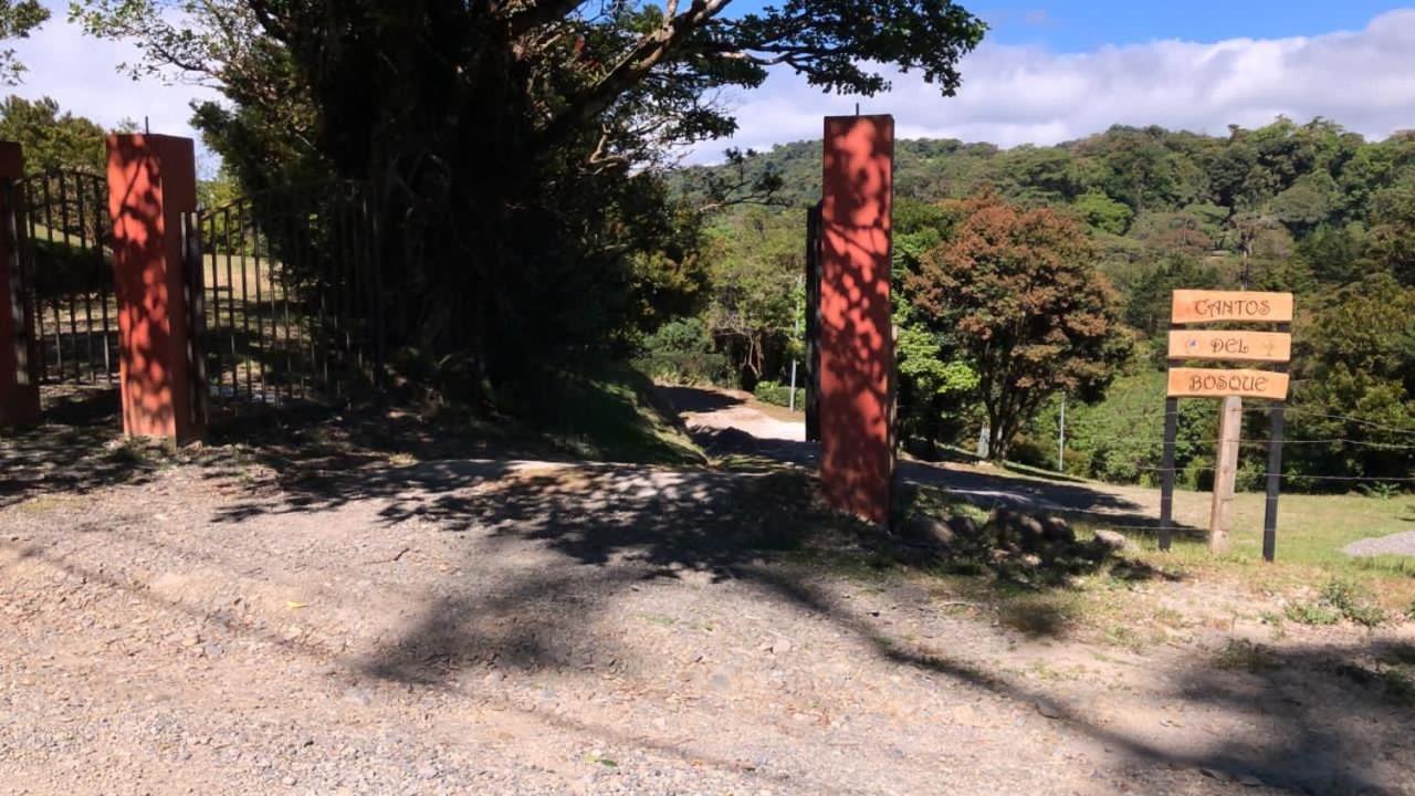 Cantos Del Bosque Monteverde Ngoại thất bức ảnh