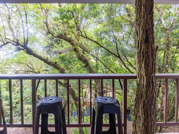 Cantos Del Bosque Monteverde Ngoại thất bức ảnh