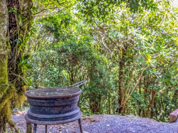 Cantos Del Bosque Monteverde Ngoại thất bức ảnh