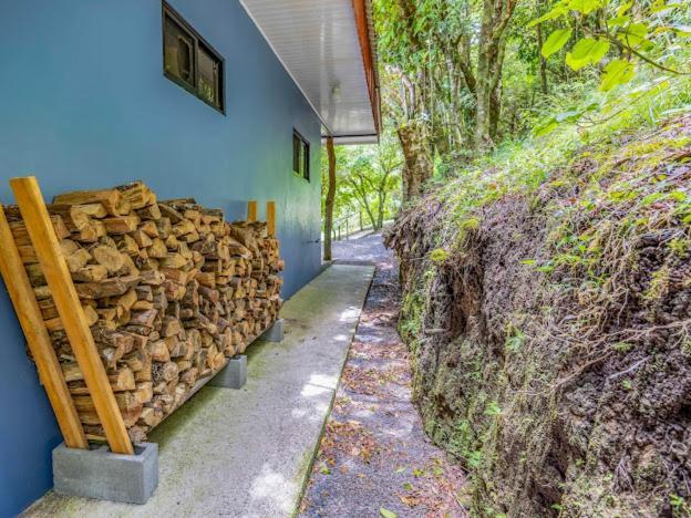 Cantos Del Bosque Monteverde Ngoại thất bức ảnh