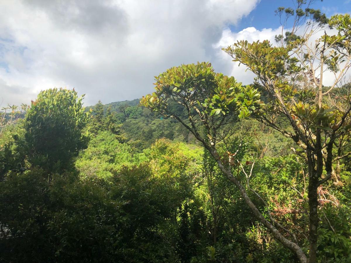 Cantos Del Bosque Monteverde Ngoại thất bức ảnh
