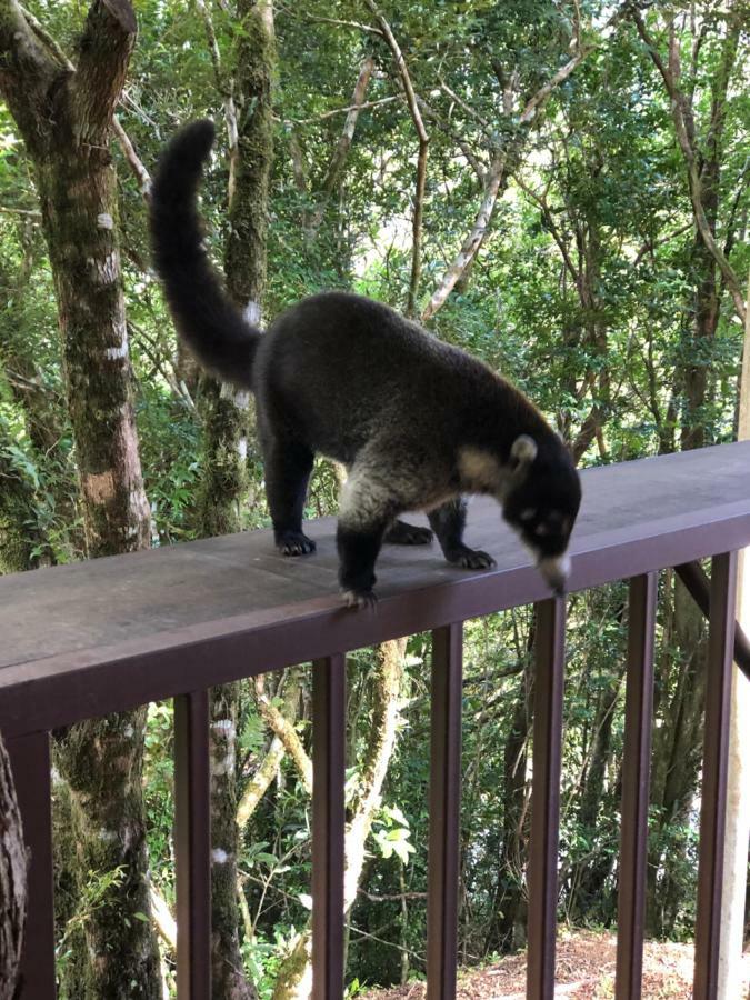 Cantos Del Bosque Monteverde Ngoại thất bức ảnh